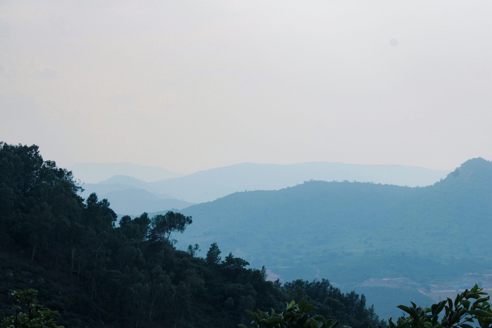 Araku (5)